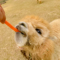 LOVE ME NOW (Single)