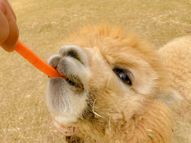 LOVE ME NOW (Single)