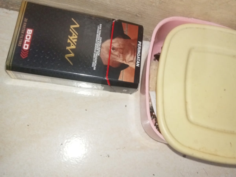 Melihat Abang langsung suka (Single)