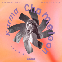 Karma Chameleon (Single)