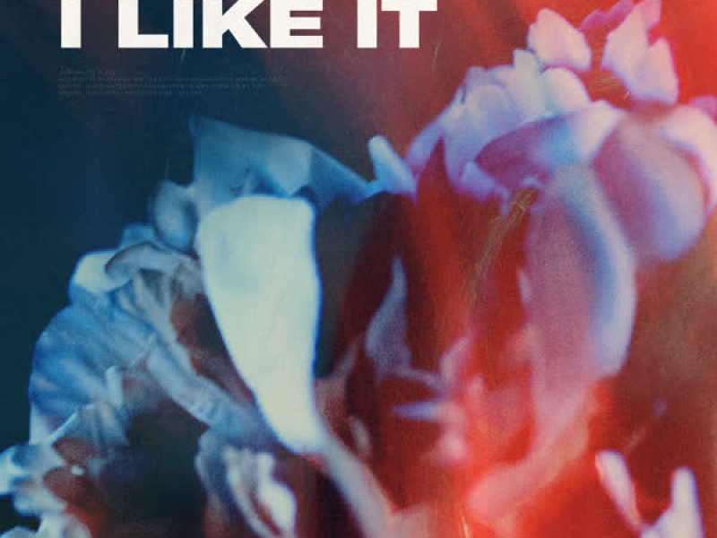 I Like It (Single)