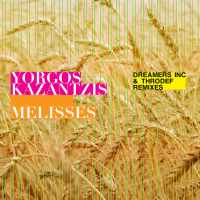 Melisses (Dreamers Inc. & ThroDef Remixes) (EP)