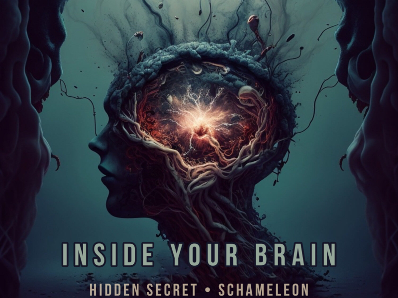 Inside Your Brain (Single)