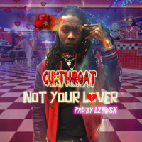 Not Your Lover (Single)