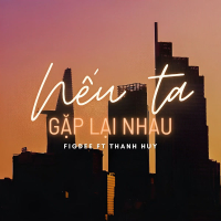 Nếu Ta Gặp Lại Nhau (Single)