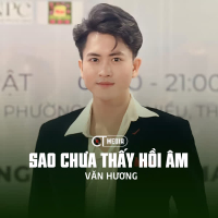 Sao Chưa Thấy Hồi Âm (Disco) (EP)