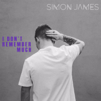 I Don't Remember Much (Single)
