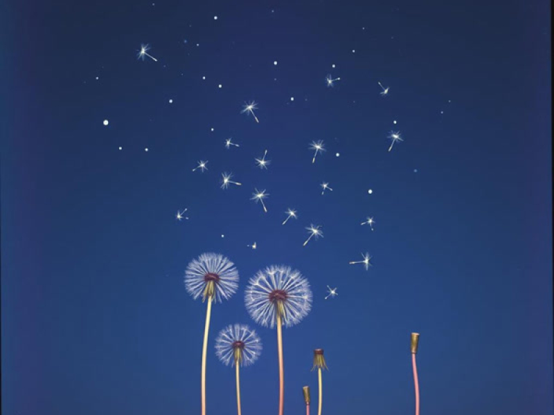 Torrent Of Time (Single)