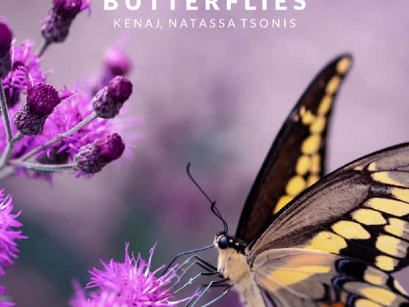 Butterflies (Single)