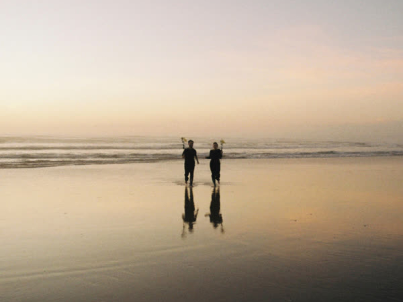 water lilies (Single)