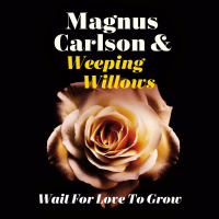 Wait for Love to Grow (Single)