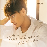 Tôi Đã Quên Thật Rồi (Single)
