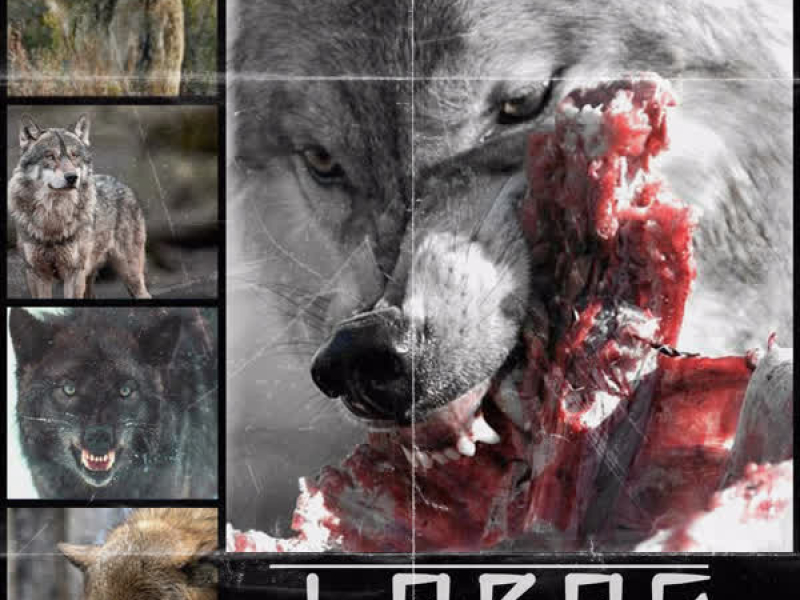 Lobos (Single)