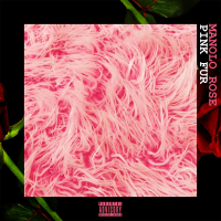 Pink Fur (Single)
