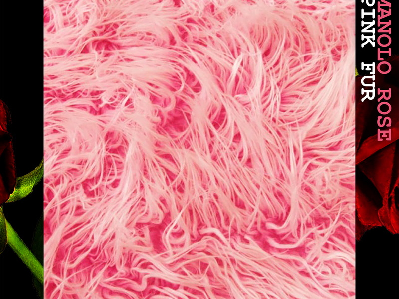 Pink Fur (Single)