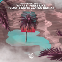 What It Feels Like ((Vijay & Sofia Zlatko Remix)) (Single)