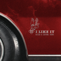 I Like It (Alesso & Sentinel Remix) (Single)