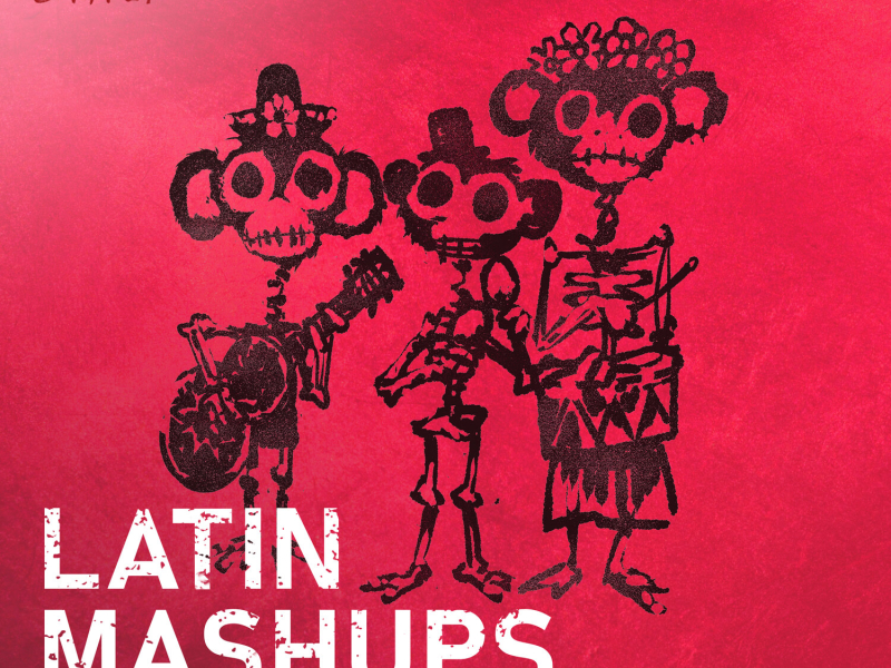 Latin Mashups