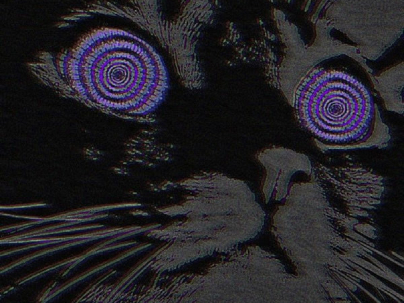 Automotivo Hipnose (Single)