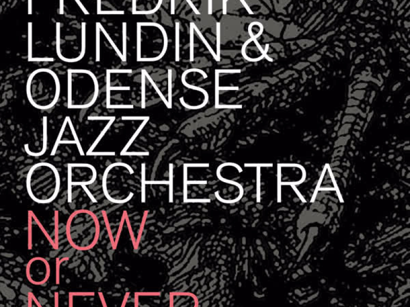 Now or Never (Single)