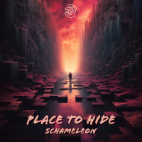 Place To Hide (Single)