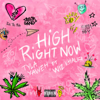 High Right Now (Remix) (Single)