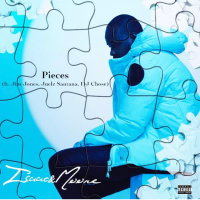Pieces (feat. Jim Jones, Juelz Santana & DJ Chose) (Single)