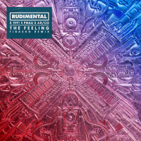 The Feeling (TIBASKO Remix) (Single)