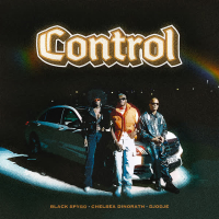Control (Single)