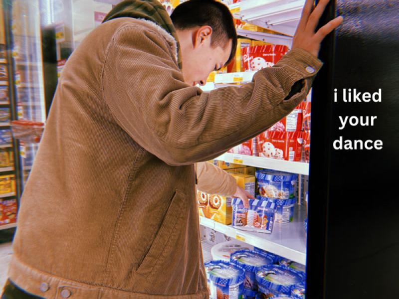 I liked your dance (Single)