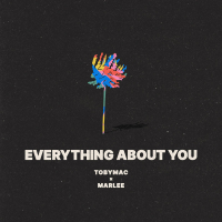 Everything About You (Single)