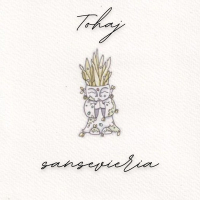 sansevieria (Single)