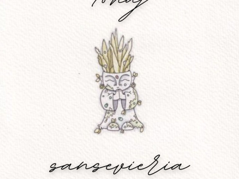 sansevieria (Single)