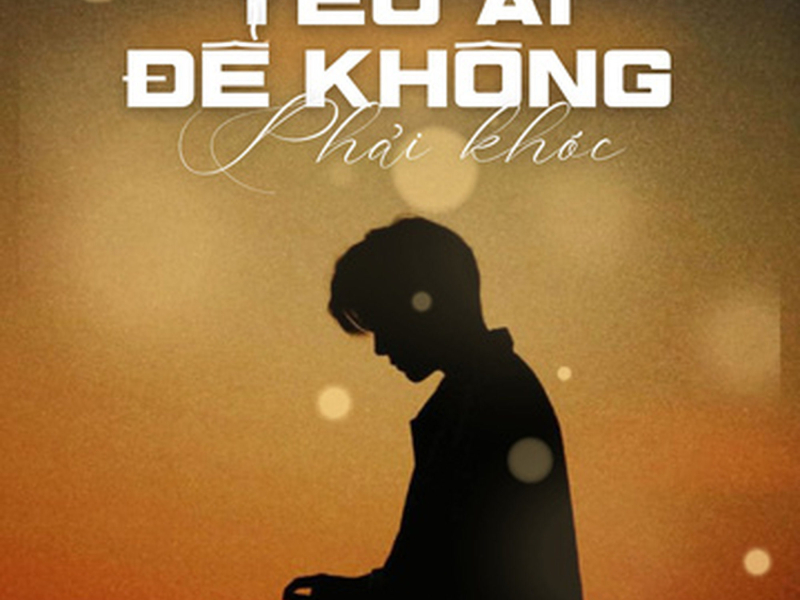 Yêu Ai Để Không Phải Khóc (DJ Bibo Remix) (Single)