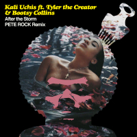 After The Storm (Pete Rock Remix) (Single)