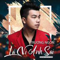 Là Vì Anh Sai (Single)