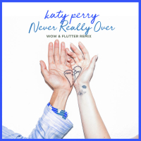 Never Really Over (Wow & Flutter Remix) (Single)