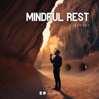 Mindful Rest (Single)