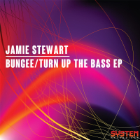 Bungee/Turn Up the Bass EP (EP)