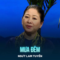 Mưa Đêm (Single)