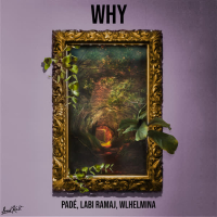 Why (with WLHELMINA) (Single)