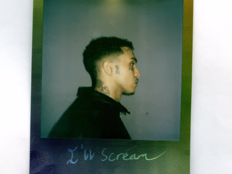 I'll Scream (All the Words) (Single)