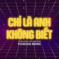 Chỉ Là Anh Không Biết (Remix) (Single)