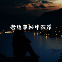 敬往事杯中沉浮 (意难平语录) (Single)