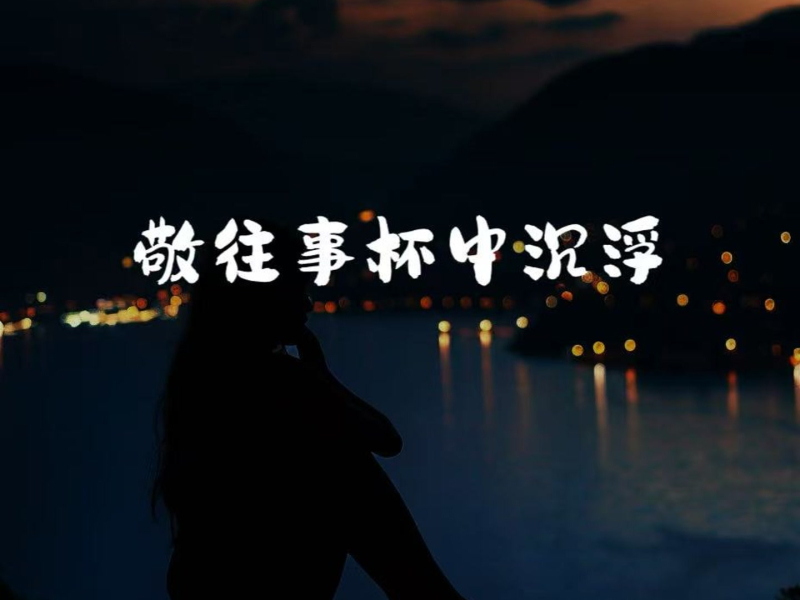 敬往事杯中沉浮 (意难平语录) (Single)