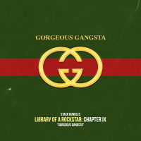 Library of a Rockstar: Chapter 9 - Gorgeous Gangsta