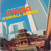Vì Yêu Cứ Đâm Đầu (DJ DSmall Remix) (Single)