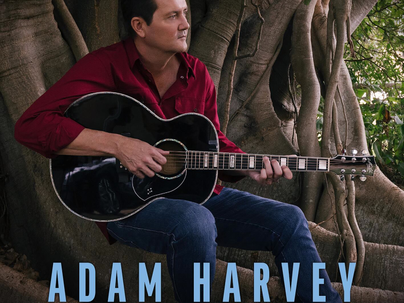 Remember Me (Single)