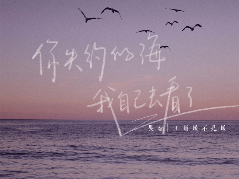 你失约的海 我自己去看了 (Single)
