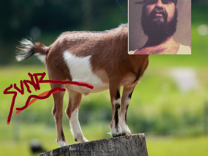 Se Innsikt, Promoter